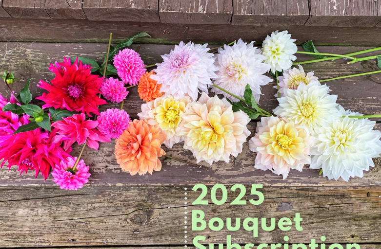 summer bouquet subscription